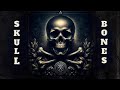 What Yale Isn't Telling You? | @BlinkBrief #yale #skull #bones #secret #society #hiddenhistory