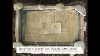 Come realizzare facilmente una lombri-compostiera