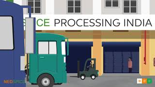 NedSpice Explainer | 2D Animation | Digital Meister