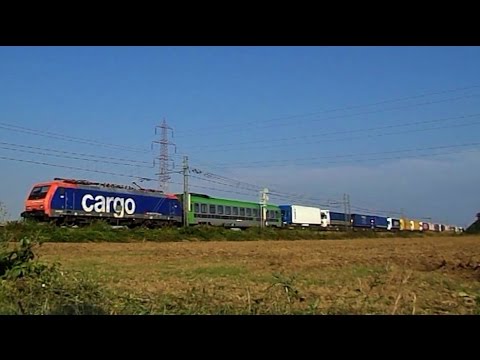 Treni nelle campagne a Vignale
