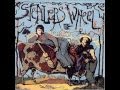 Stealers Wheel - Star 