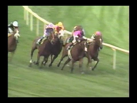 1993 Beverly D. Stakes - Flawlessly
