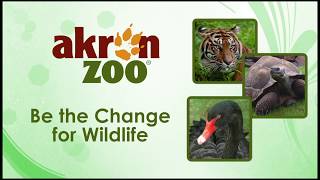 Be the change for wildlife- President & CEO Doug Piekarz