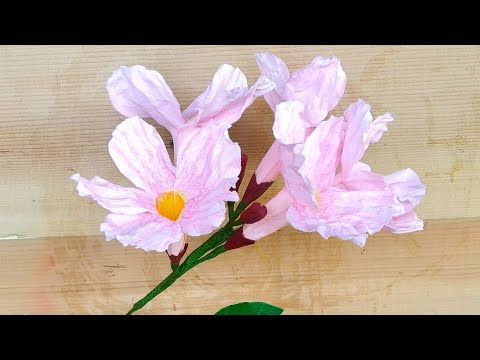 Diy how to make crepe paper Tabebuia Rosea Flower