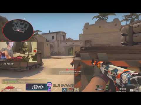 Loba Akuma Hakkında Şarkı Söylüyor, Tarık Türkçe Küfür Ediyor / CSGO FPL Edit