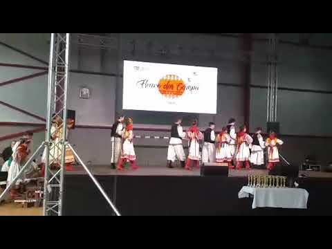 Ansamblul Doina Crisului Ineu -