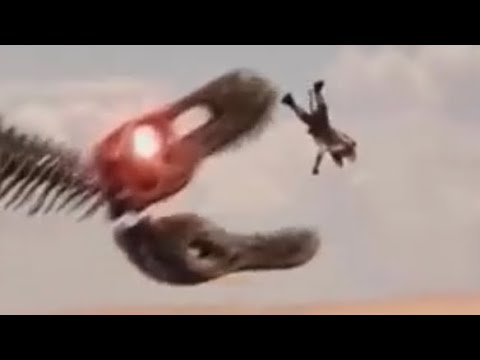 Skeleton T Rex & Alligator Noms (TAORTFP)