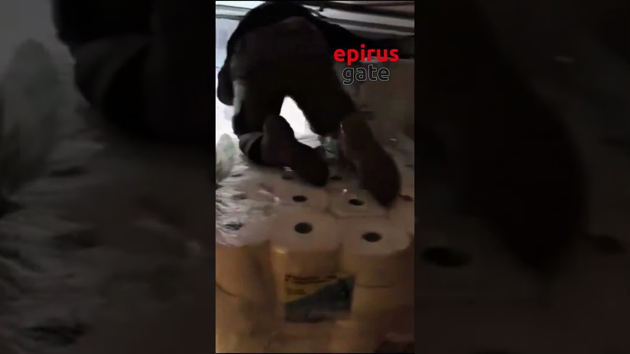 Μεγάλο «χτύπημα» της Δίωξης Ναρκωτικών: Μισός τόνος “σκανκ” σε νταλίκα στην Ηγουμενίτσα