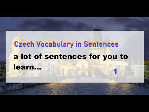 🇨🇿  Learn Czech Vocabulary in Context - Čeština pro cizince 🇨🇿 #czechy #językczeski