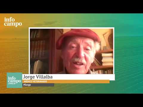 ¿CÓMO HACER EL PASTOREO PRECOZ?