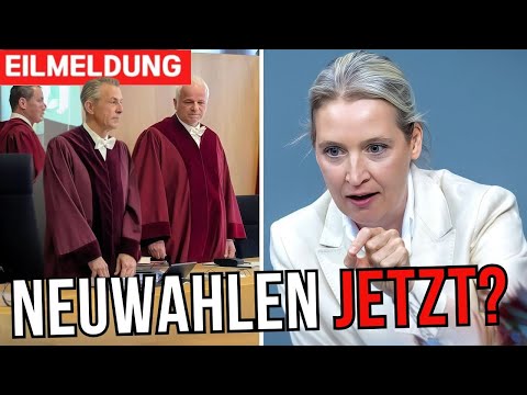AfD-Klage gegen Regierung: Drohen Neuwahlen & Verfassungskrise in Deutschland?