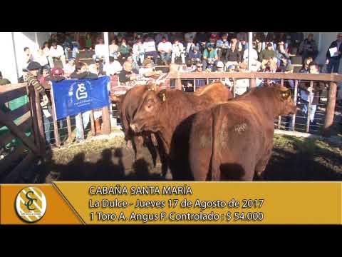 17-08-17 Venta de Toros A.A. P.C. - Cabaña Santa María - La Dulce.