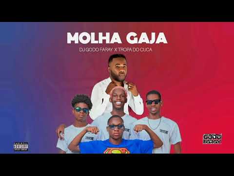 MOLHA GAJA - Dj Godo Faray x Tropa Do Cuca