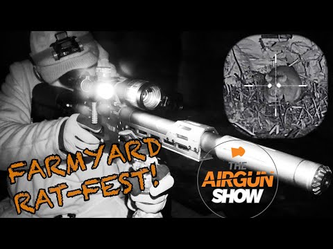 The Airgun Show | Farmyard Rat Attack | Weihrauch HW97 Review