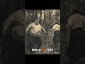 Swayne Bean The Real Story Of Wrong Turn Scary History Story