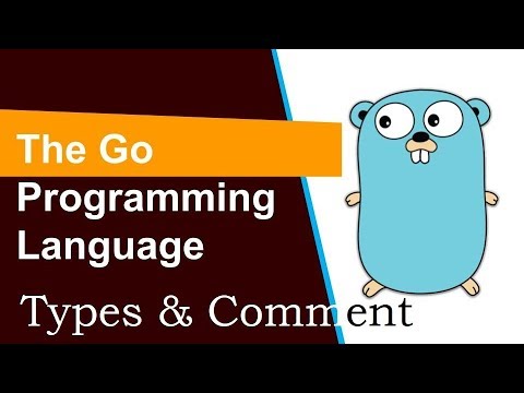 Go programming Tutorial 2 Types Comments Identifiers And Tokens हिन्दी