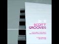 Scott Grooves (feat Parliament Funkadelic) - Mothership Reconnection 2011