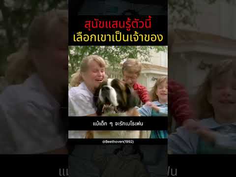 สุนัขแสนรู้ตัวนี้เลือกเขาเป็นเจ้าของ