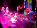 RADIO CITY MUSIC HALL Nutcracker 2009 Christmas Spectacular ROCKETTES