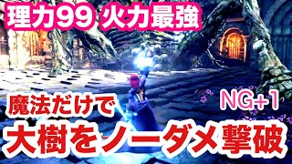 【ダークソウル3】《ノーダメ》理力99純魔☆呪腹の大樹を魔法だけで撃破 NG+1【Darksouls3 no damage】
