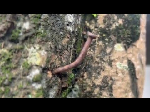 MAKIN GA JELAS !!! mana ada jimat paku, mur & sapu ada 😜