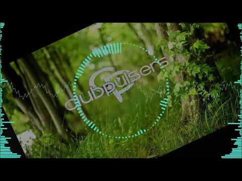 ClubPulsers feat. Zeca - Másfél Hete (Steve The Beat Remix)