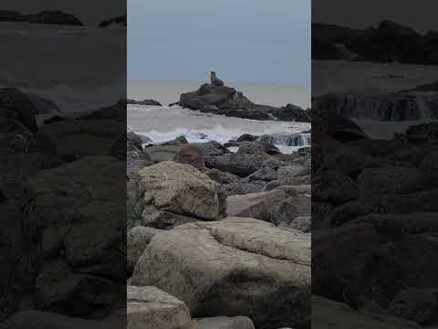 Punta Colorada Maldonado 😊🇺🇾🧉