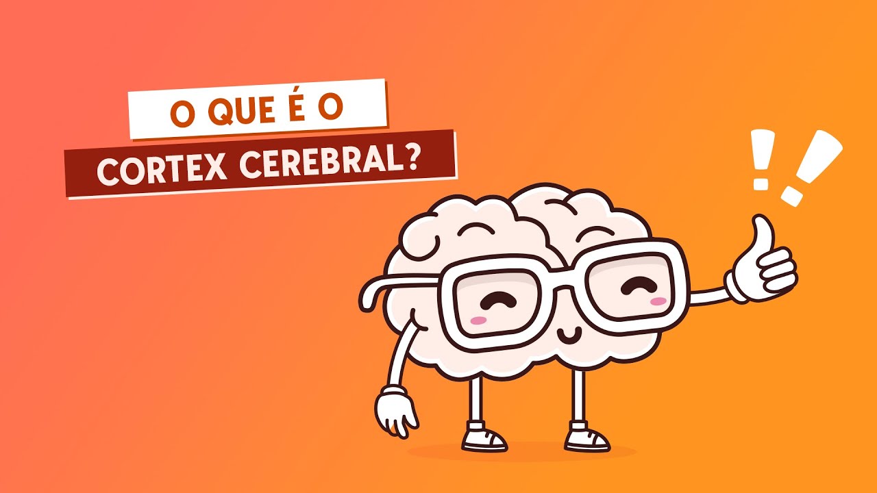 O que é o cortex cerebral?