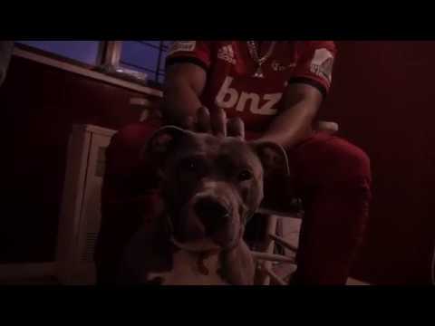 MEALZ MUNEY-POLE ON ME TEASER 1