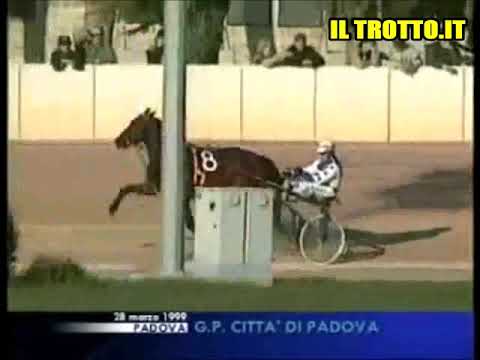 VARENNE & GIAMPAOLO MINNUCCI VINCONO IL G.P. CITTÀ DI PADOVA 1999 - VARENNE WON PRIX CITY OF PADOVA