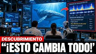 Científicos Usaron IA Para Descifrar El Lenguaje De Las Ballenas — ¡Nadie Imaginó Esto!