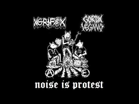 Gordx Vegano XGrifoX Split   Noise is Protest