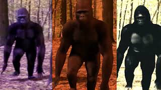 GORILLAS DANCE TO The Crazy Things We Do