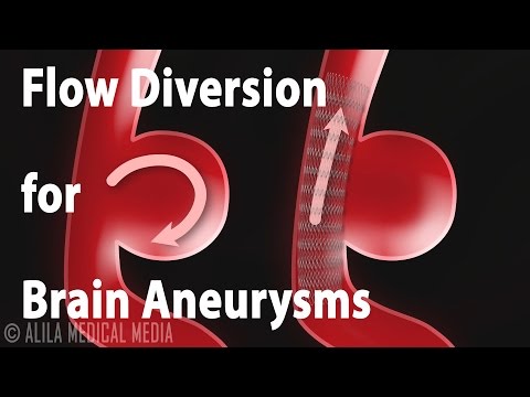Overview of the Nervous System Animation
