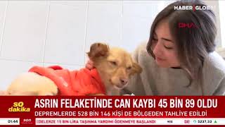 AFETZEDE HAYVANLAR TEDAVİ ALTINDA