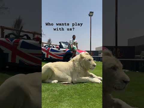 SNOW & OMRAN #music #433 #explore #exploremore #explorepage #دبي #love #foryou #youtubeshorts