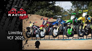 Pitbike YCF Pilot F150 Limited