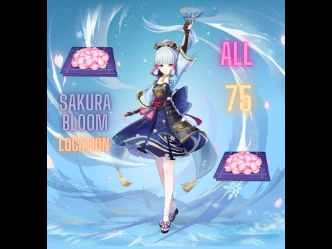 ALL 75 SAKURA BLOOM FARMING ROUTE LOCATION|Complete Guide & Efficient Route Genshin Impact Indonesia