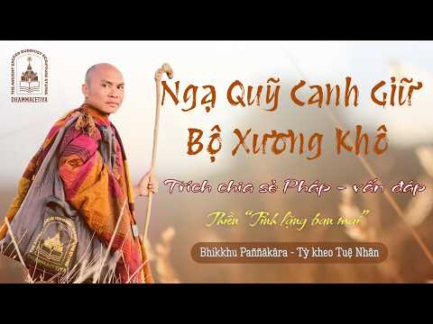 Ngạ Quỹ Canh Giữ Bộ Xương Khô | Sư Tuệ Nhân | Thiền Tĩnh Lặng Ban Mai