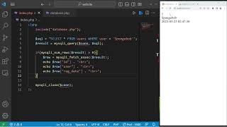 Download the video "PHP how to query MySQL database"