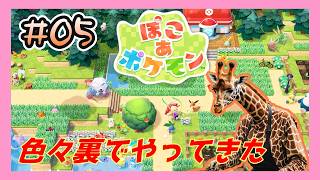 ついに裏で作業もした効率厨、スローじゃないライフを全うする #05【ぽこ あ ポケモン】