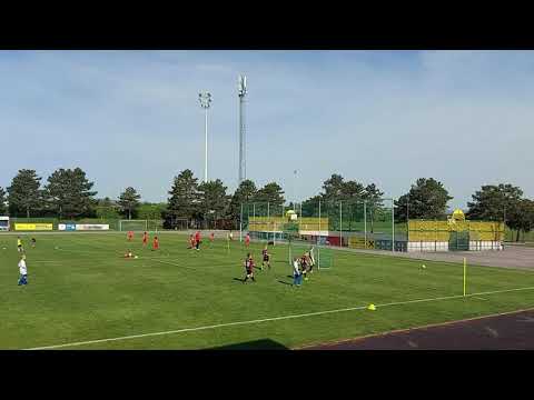 U9 Turnier in Vösendorf am 14.04.2024 - SC Himberg