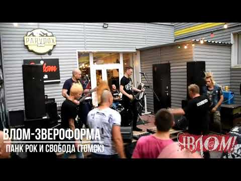 ВЛОМ! - Звероформа (29.08.2020)