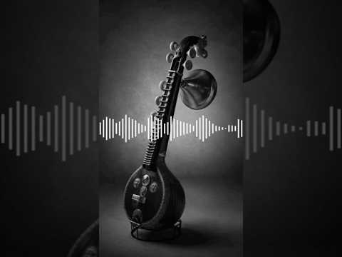 Veena | Musical Bit