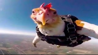 Hilarious Funny Animals Compilation 🐶🐱 | Cute Cats & Dogs Making You Laugh 2025