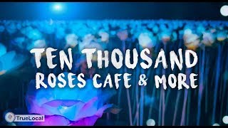 10,000 Roses Cafe &amp; More: Cebu Attractions | Truelocal Philippines