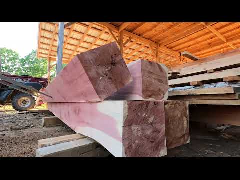 Cutting Some INSANE Cedar Logs On The Cooks AC36 Sawmill