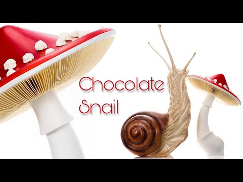 Chocolate Snail!