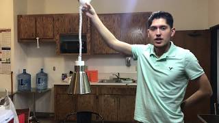 Fried Food Hatco French Fry Warmer with Lights Countertop   DISPLAY