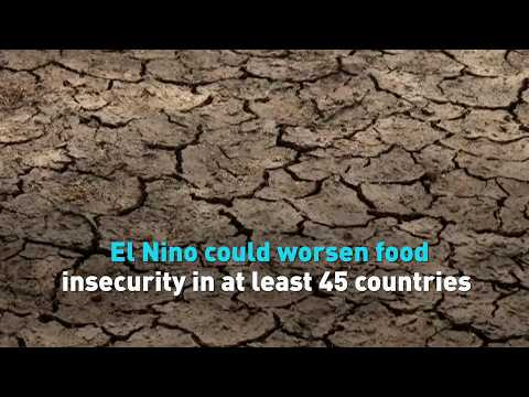 El Nino could worsen food insecurity in at least 45 countries